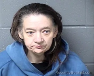 Mugshot of AMANDA J GEORGE booked in Woodford County, Illinois on May 7, 2026