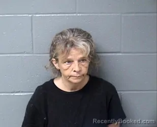 Mugshot of LISA A KOPPLIN booked in Woodford County, Illinois on April 8, 2026