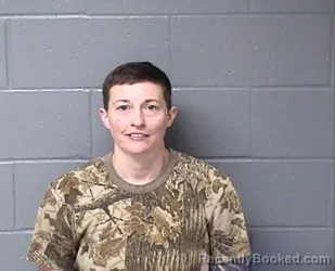 Mugshot of CHELSEA S HIBSER booked in Woodford County, Illinois on April 15, 2026