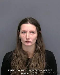 Mugshot of BREEANNA JAYLEEN CHRISTMAN KINNEY