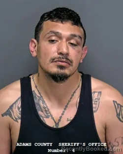 Mugshot of STEVEN DANIEL ARGUELLES booked in Adams County, Indiana on April 22, 2026