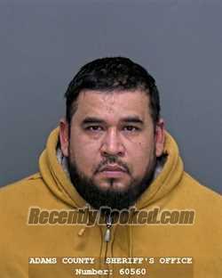 Booking photo from Adams County, Indiana