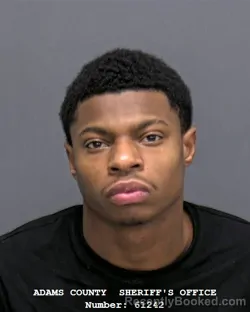 Booking photo from Adams County, Indiana