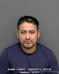 Mugshot of JOSE LUIS GOMEZ-ALVAREZ