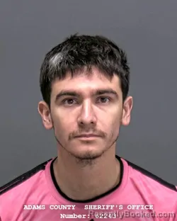 Mugshot of DERICK S RAMIREZ REVOLORIO