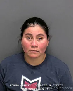 Mugshot of SILVIA G GUTIERREZ booked in Adams County, Indiana on April 9, 2026