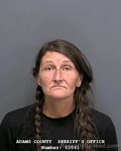 Mugshot of MINDI MARIE WINTER booked in Adams County, Indiana on April 20, 2026