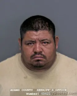 Mugshot of JUAN A PATZAN PEREZ booked in Adams County, Indiana on July 10, 2026