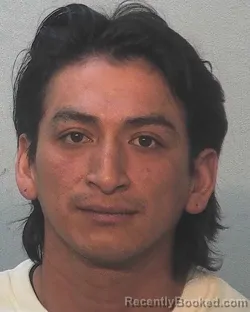 Mugshot of Alvaro V Lema-vasquez