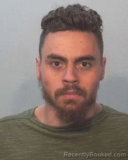 Mugshot of Andrew Meredith Ausland