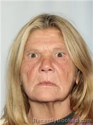 Mugshot of Phyllis Verna Burnell booked in Allen County, Indiana on June 29, 2026