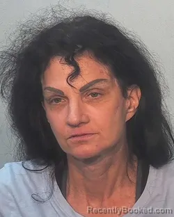 Mugshot of Diane Piper Mizrachi booked in Allen County, Indiana on July 3, 2026