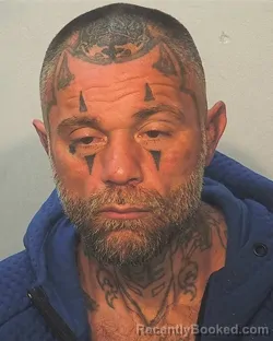 Mugshot of Michael Herbert Wagner