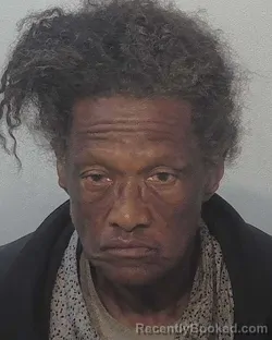 Mugshot of Sandra Michelle Young booked in Allen County, Indiana on July 12, 2026