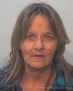 Mugshot of Anajayne Maye Bailer