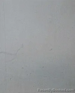 Mugshot of Andrea Nashay Taylor booked in Allen County, Indiana on March 14, 2026