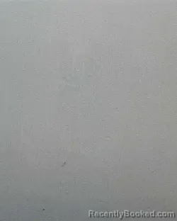 Mugshot of Shallin Elizabethdiane Doyle booked in Allen County, Indiana on March 23, 2026