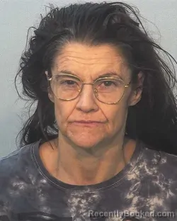 Mugshot of Sarah Christina Wilson