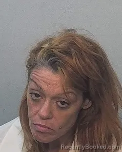 Mugshot of Tasha Marie Lewis booked in Allen County, Indiana on August 25, 2026