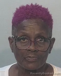 Mugshot of Darlene Holley booked in Allen County, Indiana on August 5, 2026