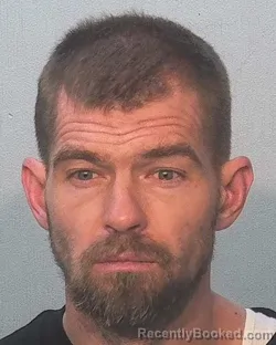 Mugshot of Johnathan Louis Mccain