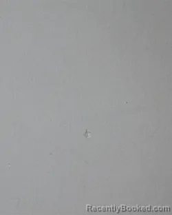 Mugshot of Steven Michael Null booked in Allen County, Indiana on April 4, 2026