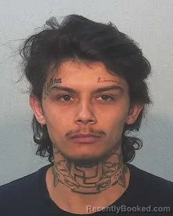 Mugshot of Jose Saloman Guzman