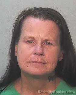 Mugshot of Cathy Lynn Adkison booked in Allen County, Indiana on July 13, 2026