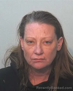 Mugshot of Jessica Miranda Viveros