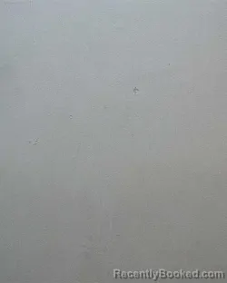 Mugshot of Karanaja Marie Shorter booked in Allen County, Indiana on March 22, 2026