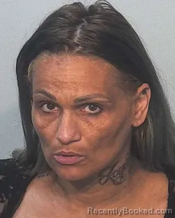 Mugshot of Katrina Marie Johannsen booked in Allen County, Indiana on August 28, 2026