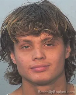 Mugshot of Jakob Isaih Park