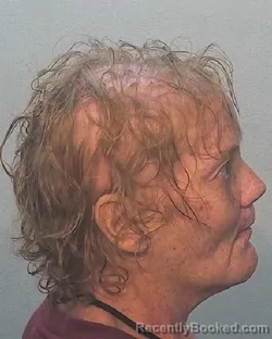 Mugshot of Deborah Susann Grayson booked in Allen County, Indiana on March 7, 2026