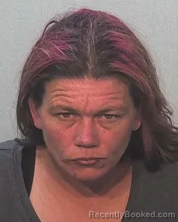 Mugshot of Alison Marie Governo booked in Allen County, Indiana on March 17, 2026