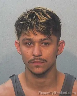 Mugshot of Alexander James Ocampo