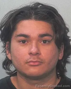 Mugshot of Martine Antonio Ferdin