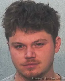 Mugshot of George B Rice