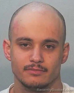 Mugshot of David Lamar Johnson