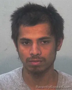 Mugshot of Ho Zei Fa