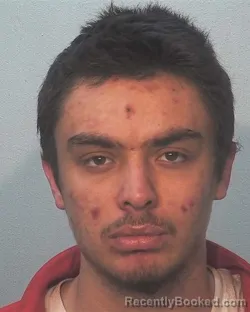 Mugshot of Armando Jay Castillo