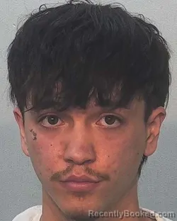 Mugshot of Luc Huu Ngo