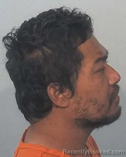 Mugshot of No No booked in Allen County, Indiana on September 4, 2026