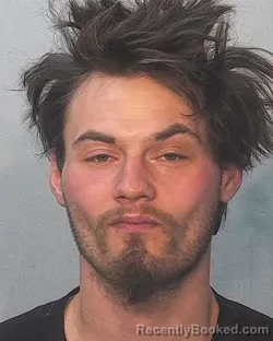 Mugshot of Manford Wayne Meadows