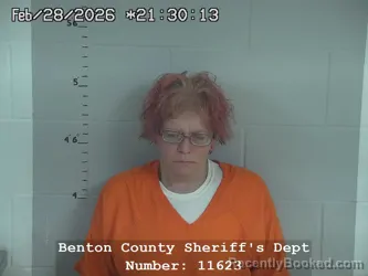 Mugshot of Lisa Marie Anstett