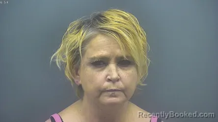 Mugshot of LORI WRIGHT