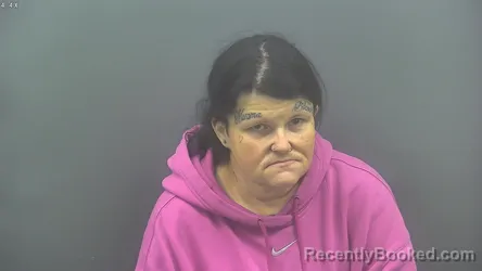 Mugshot of JESSICA LYNN VANHORN