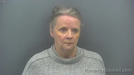 Mugshot of NILA POPE