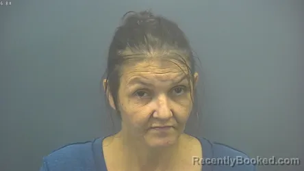 Mugshot of SHANNON N COLLINS booked in Blackford County, Indiana on July 7, 2026