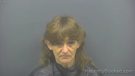 Mugshot of STACY PATTON booked in Blackford County, Indiana on July 16, 2026
