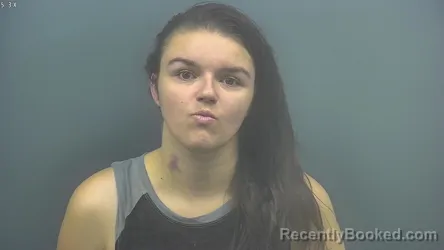Mugshot of MEGAN HEINZE booked in Blackford County, Indiana on July 17, 2026